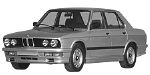 BMW E28 P3176 Fault Code